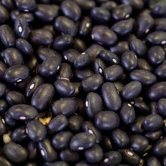 Rainy Day Foods - Black Turtle Beans Natural 25 lb. Bag