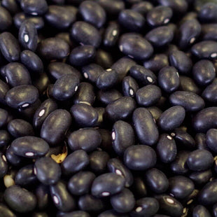 Rainy Day Foods Black Turtle Beans #10 Cans - 157 Servings