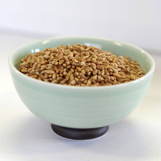 Rainy Day Foods Hard Red Wheat Natural 5 Gallon 36 lb. Super Pail - 163 Servings