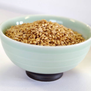 Rainy Day Foods Hard White Wheat Natural 88 oz. #10 Can - 25 Servings