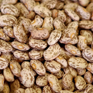Rainy Day Foods - Pinto Beans Natural 25 lb. Bag