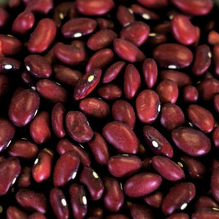 Rainy Day Foods Small Red Beans 50 lb. Bag - 227 Servings