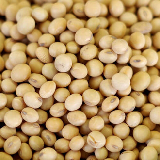 Rainy Day Foods Soy Beans Natural 25 lb. Bag - 183 Servings