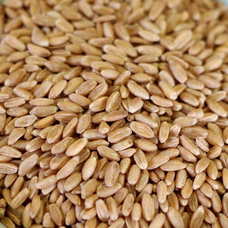 Rainy Day Foods Spelt Natural 25 lb. Bag - 241 Servings