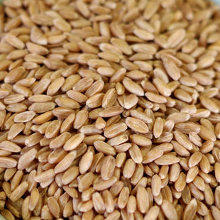Rainy Day Foods Non-GMO Spelt Natural 5 Gallon 35 lb. Super Pail - 186 Servings