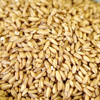 Rainy Day Foods Oat Groats 25 lbs. Bag - 270 Servings
