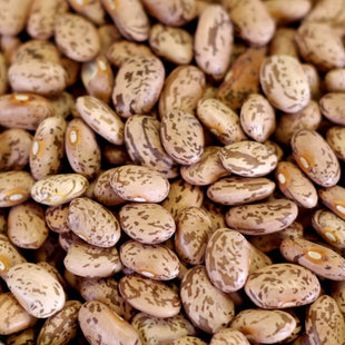 Rainy Day Foods Pinto Beans 50 lb. Bag - 227 Servings