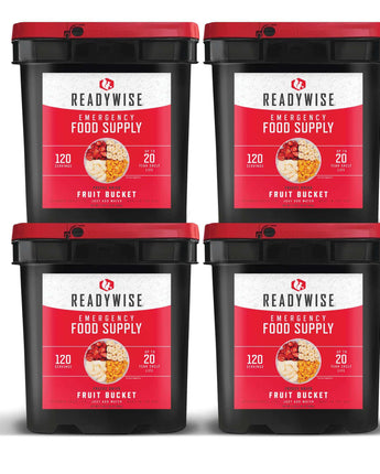 readywise-480-serving-fruit-kit