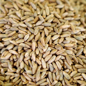 Rainy Day Foods Rye 50 lb. Bag - 269 Servings