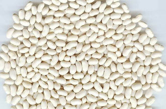 Rainy Day Foods Small White Navy Beans 50 lb. Bag - 212 Servings