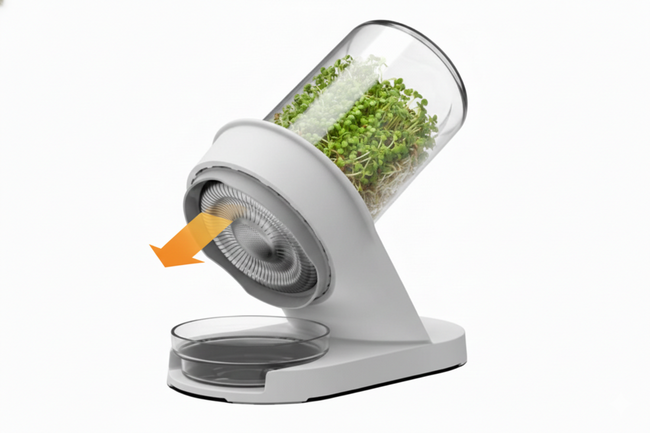 Starter Bundle: Lentils 1lb