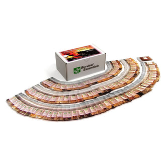 Survival Essentials Seeds Premium Heirloom Seeds Box - 100 Varieties - Over 17,000 Seeds