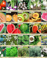 survival-essentials-100-variety-non-gmo-seed-box-melons