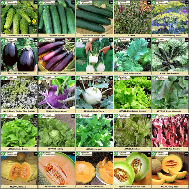 survival-essentials-seeds-135-variety-box-close-up-fruits