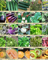 survival-essentials-seeds-135-variety-box-close-up-fruits