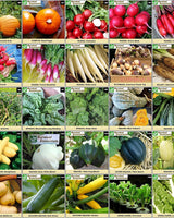 survival-essentials-seeds-135-variety-box-close-up-radishes