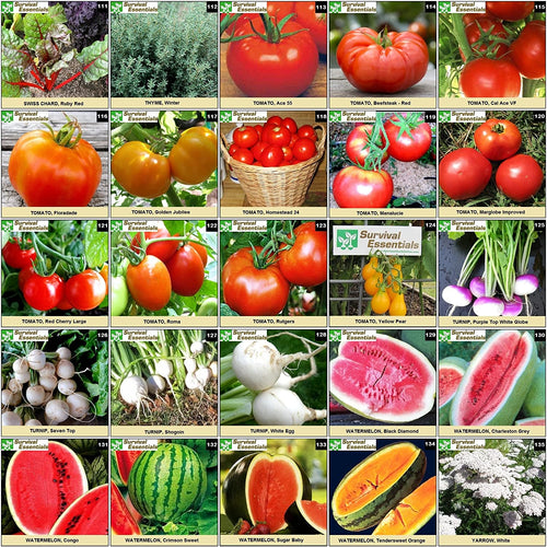 survival-essentials-seeds-135-variety-box-close-up-tomatoes