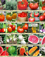 survival-essentials-seeds-135-variety-box-close-up-tomatoes