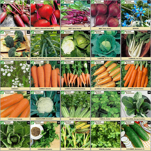 survival-essentials-seeds-135-variety-box-close-up-vegetables