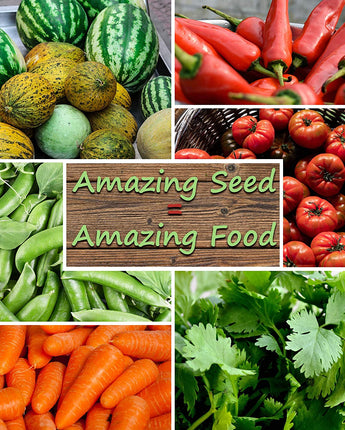 sustainable-seed-company-bug-out-bag-vegetables
