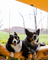 Sunshade tarp